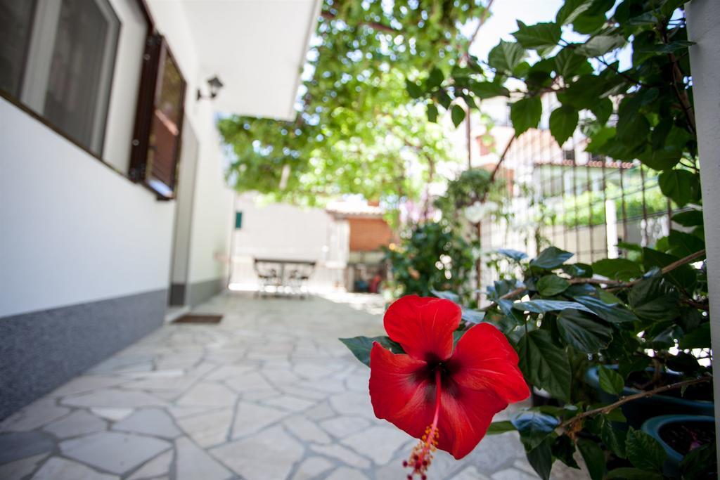 Apartments Mladen Duće Buitenkant foto